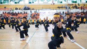 Enhancing martial arts partnership in Viet Nam HCMC(5th International Festival of Vietnamese Traditional Martial Arts)